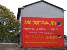 融安百分之90的人都不了解的农村墙体广告