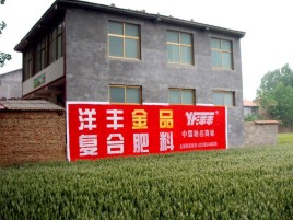 融安如何让墙体广告展现最大化效果