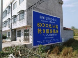 融安墙体广告质量分析