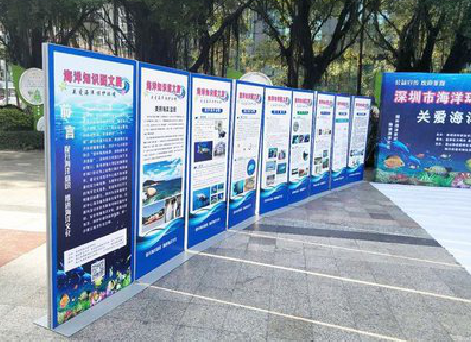 融安KT板的种类和知识。